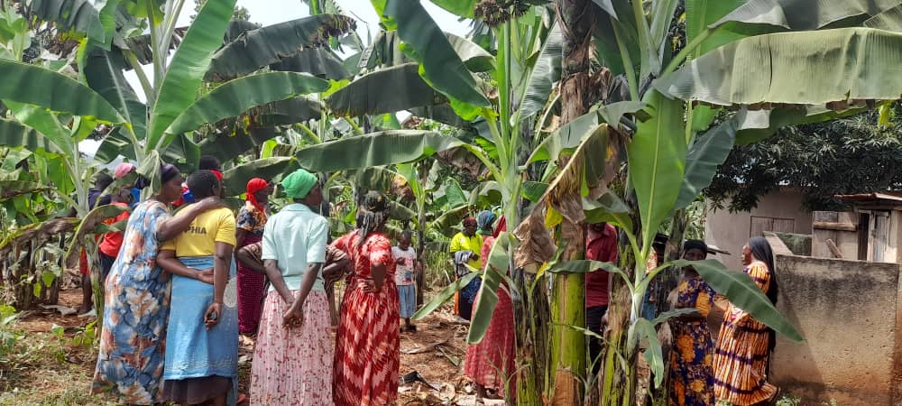 Local Women and beneficiaries in Budondo Jinja city showcase their projects